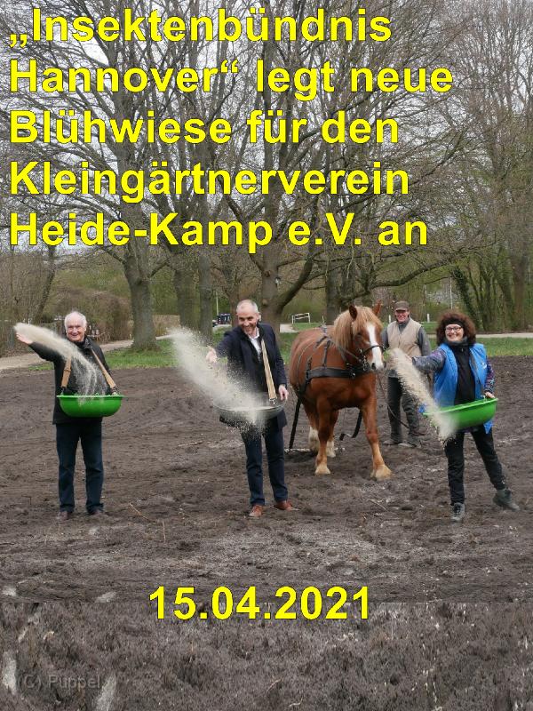 2021/20210415 Insektenbuendnis Hannover/index.html